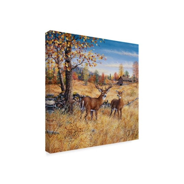 Jeff Tift 'Colors Of Autumn' Canvas Art,18x18